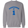 professor nº 1 professor nº 1