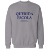 querida escola odeio-te querida escola odeio-te
